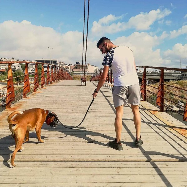 30 νέες φωτογραφίες απ' τα τέλεια ζώα των αναγνωστών μας