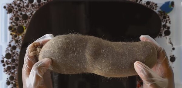 Καλσόν παραγεμισμένα με ανθρώπινα μαλλιά μπορούν να πολεμήσουν ένα περιβαλλοντικό πρόβλημα