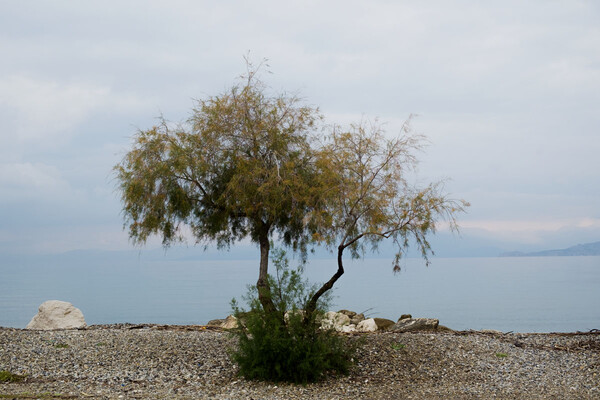 Freeflow ή αλλιώς απολύτως τίποτα