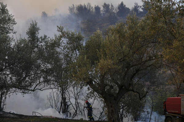 Σε εξέλιξη πυρκαγιά στην Ηλεία- Mερική εκκένωση σε χωριό (upd)