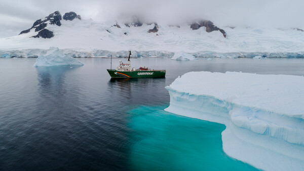 Εντοπίστηκαν πλαστικά απορρίμματα και τοξικά χημικά ακόμη και στην Ανταρκτική