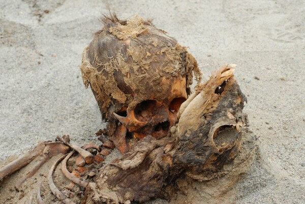 Αρχαιολόγοι ανακάλυψαν την μεγαλύτερη στην ιστορία μαζική σφαγή παιδιών σε ανθρωποθυσία στο Περού