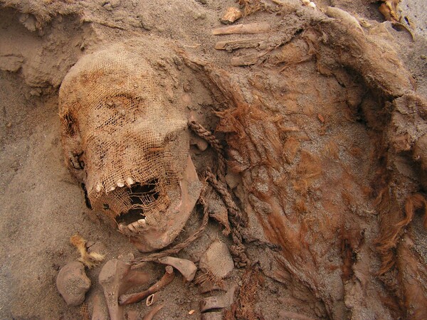 Αρχαιολόγοι ανακάλυψαν την μεγαλύτερη στην ιστορία μαζική σφαγή παιδιών σε ανθρωποθυσία στο Περού