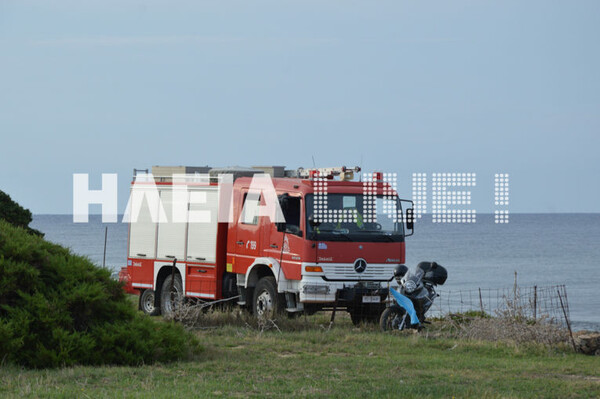 H απίστευτη ιστορία της Χάιδως - Το άλογο που χάθηκε στη θάλασσα και επέζησε για 15 μέρες σε ερημική παραλία