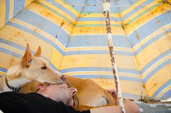 Οι 12 φωτογραφίες που βραβεύτηκαν με τα πιο όμορφα σκυλιά της χρονιάς