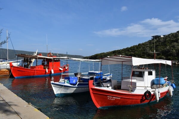 Στην παραδεισένια Αλόννησο: Όλα όσα αξίζει να κάνεις, να δεις και να δοκιμάσεις