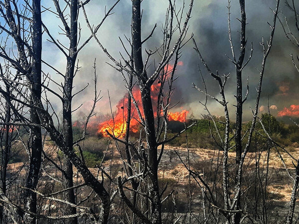 Δύο νέες πυρκαγιές στη Ζάκυνθο με διαφορά λίγων λεπτών - Μάχη με τις φλόγες και στην Άνδρο