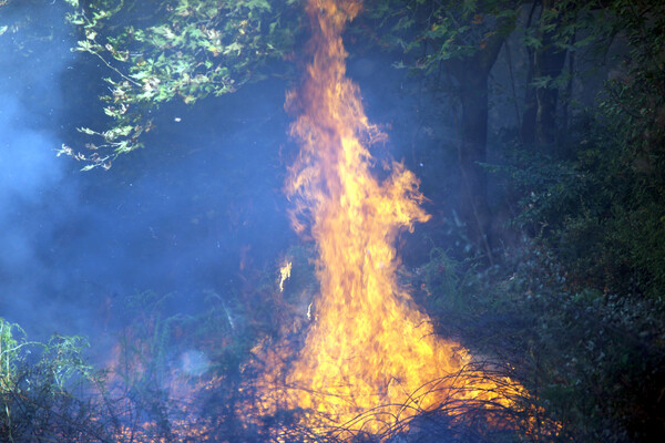Πολύ υψηλός κίνδυνος πυρκαγιάς την Τρίτη - Ποιες περιοχές κινδυνεύουν