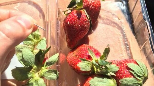 Επεκτείνεται η κρίση της φράουλας - Φρούτα με κρυμμένες βελόνες εντοπίστηκαν και στη Νέα Ζηλανδία