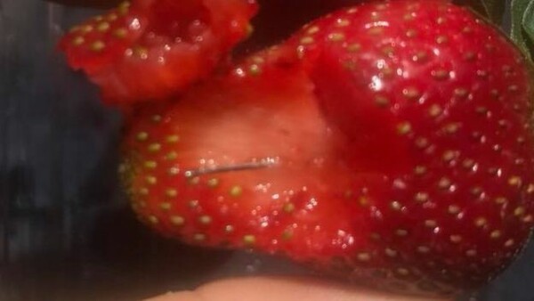 Καρφίτσες και βελόνες κρυμμένες σε φράουλες - Πανικός από επικίνδυνο μποϊκοτάζ στην Αυστραλία