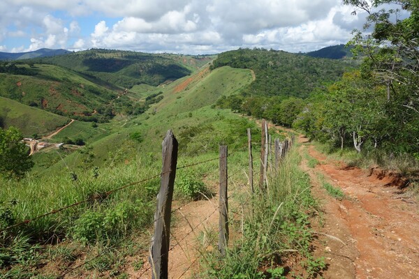 Σεμπαστιάο Σαλγκάδο: Ο φωτογράφος που φύτεψε ένα ολόκληρο δάσος σε μια κατεστραμμένη έκταση