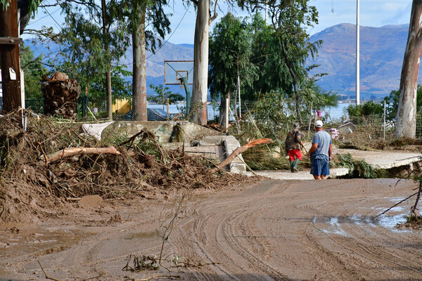 Μεγάλη καταστροφή στην Αργολίδα - Βομβαρδισμένο τοπίο τα χωριά μετά το πέρασμα του κυκλώνα