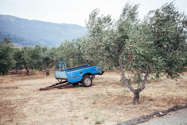 Η «Λακωνική» ομορφιά