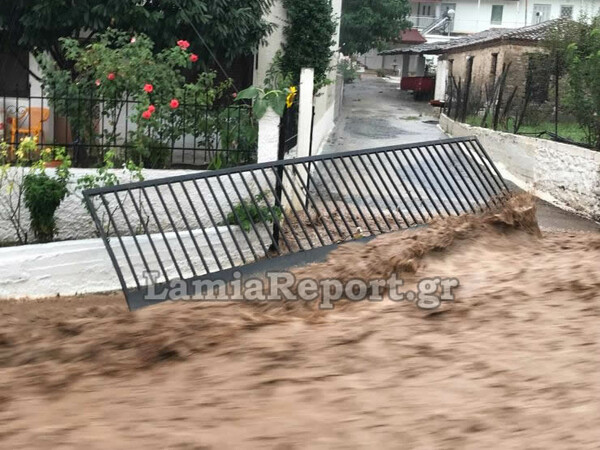 Χείμαρροι και καταστροφές στη Λαμία από τη βροχή - Συναγερμός για εγκλωβισμένο άτομο (Φωτό και Βίντεο)