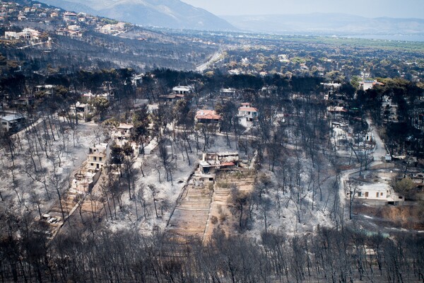 Αστεροσκοπείο Αθηνών: Ολική καταστροφή στο Μάτι - Κάηκε ολοσχερώς το 70% της έκτασης