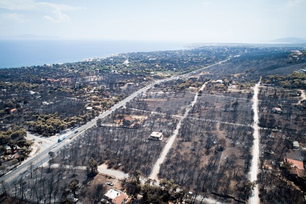 Αστεροσκοπείο Αθηνών: Ολική καταστροφή στο Μάτι - Κάηκε ολοσχερώς το 70% της έκτασης