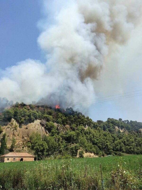 Σε εξέλιξη πυρκαγιά στην Ηλεία- Mερική εκκένωση σε χωριό (upd)