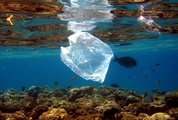 Παγκόσμια ημέρα κατά της πλαστικής σακούλας - Η Μεσόγειος κινδυνεύει περισσότερο από ποτέ
