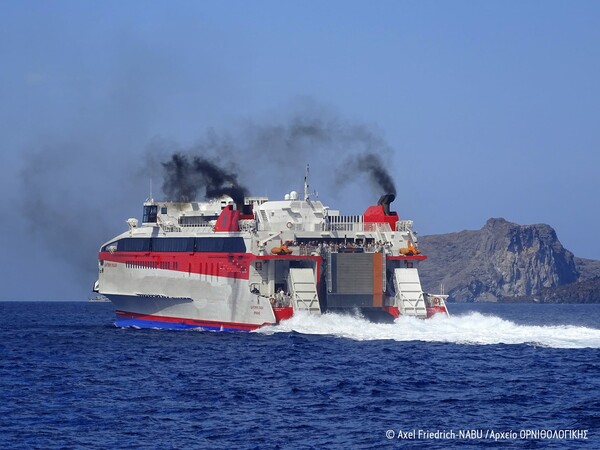 «Δεν θα πήγαινα στη Σαντορίνη» γράφει η Telegraph - Κίνδυνος στην υγεία από τους καπνούς των πλοίων