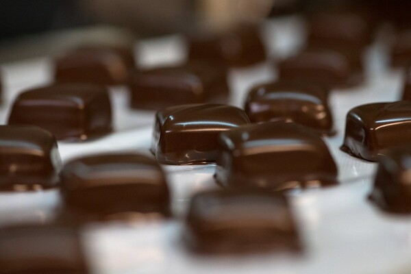 Η καταγωγή της σοκολάτας είναι τελικά κατά 1.500 χρόνια παλαιότερη, διαπίστωσαν οι επιστήμονες