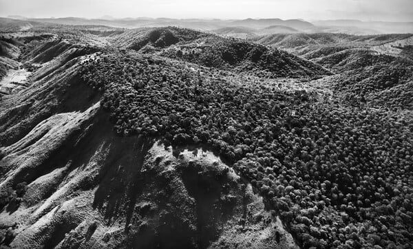 Σεμπαστιάο Σαλγκάδο: Ο φωτογράφος που φύτεψε ένα ολόκληρο δάσος σε μια κατεστραμμένη έκταση