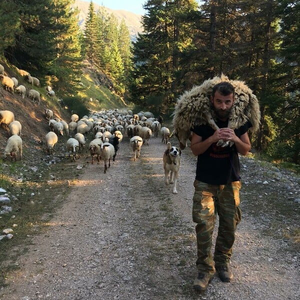 To απίθανο Instagram ενός Έλληνα βοσκού