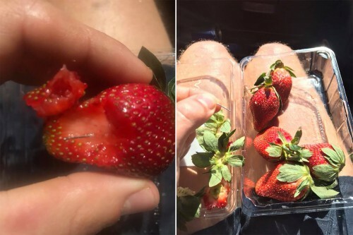 Αυτή είναι η γυναίκα που έκρυβε βελόνες σε φράουλες- Το σαμποτάζ που πανικόβαλε την Αυστραλία