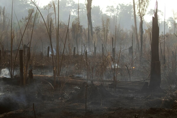 Αμαζόνιος: Η καταστροφή συνεχίζεται - Οι πυρκαγιές κατακαίνε το δάσος