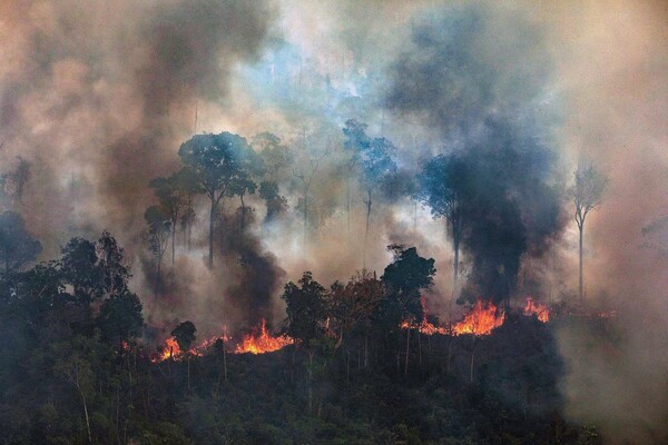 Αμαζόνιος: Η καταστροφή συνεχίζεται - Οι πυρκαγιές κατακαίνε το δάσος