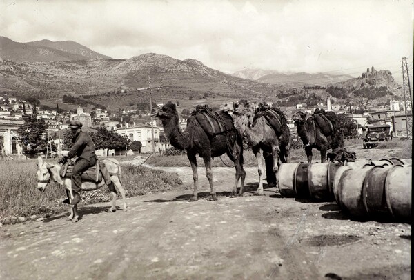 Καραβάνι με καμήλες στην Άμφισσα γύρω στο 1920