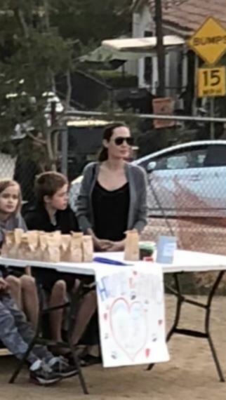 Η Αντζελίνα Τζολί με τα παιδιά της πουλούσαν οργανική σκυλοτροφή σε ένα πάρκο
