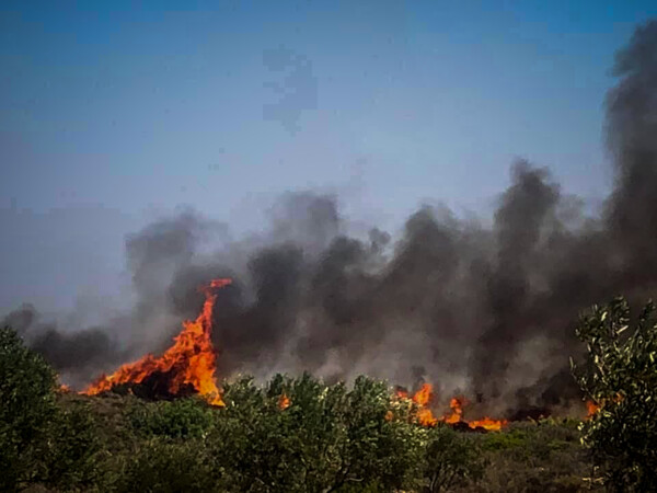 Ελαφόνησος: Οριοθετήθηκε η πυρκαγιά - Παραμένουν ισχυρές δυνάμεις της Πυροσβεστικής στο σημείο