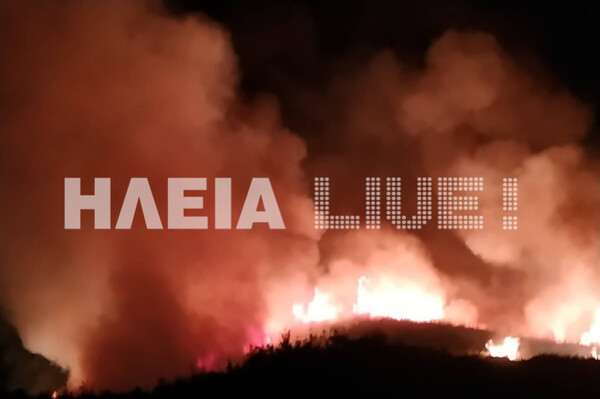 Φωτιά στην Ηλεία: Καίει δασική έκταση σε δύσβατη περιοχή