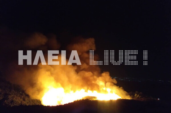 Φωτιά στην Ηλεία: Καίει δασική έκταση σε δύσβατη περιοχή