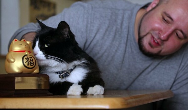 O άντρας που δουλειά του είναι να παρακολουθεί χιλιάδες viral βίντεο με γάτες