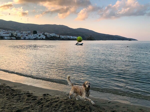 30 νέες φωτογραφίες απ' τα τέλεια ζώα των αναγνωστών μας