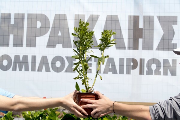 Ο Όμιλος ΗΡΑΚΛΗΣ προσφέρει ανάσα ζωής και ελπίδας στο Μάτι και τον Ν. Βουτζά