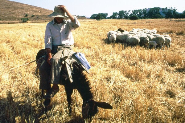 Η Λήμνος το 1992