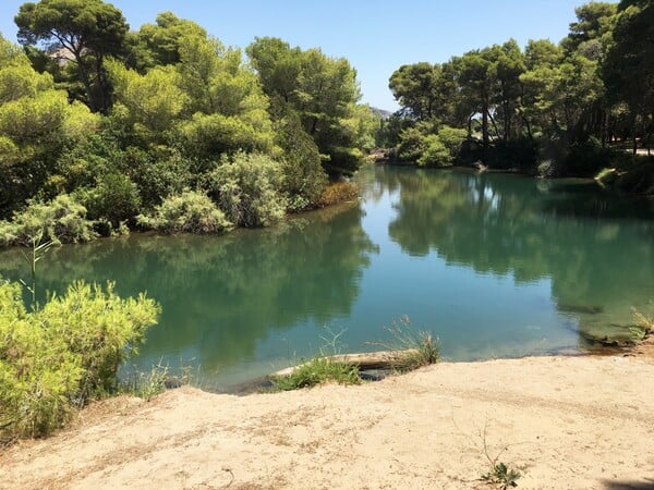 Οι αμμόλοφοι της Καλογριάς