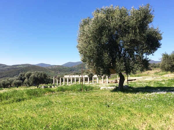 Αρχαία Μεσσήνη