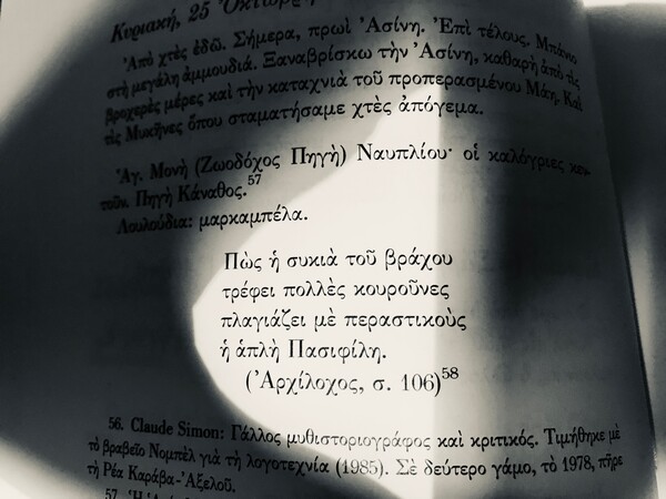 Γάμος στα Παραπούγκια, 1924