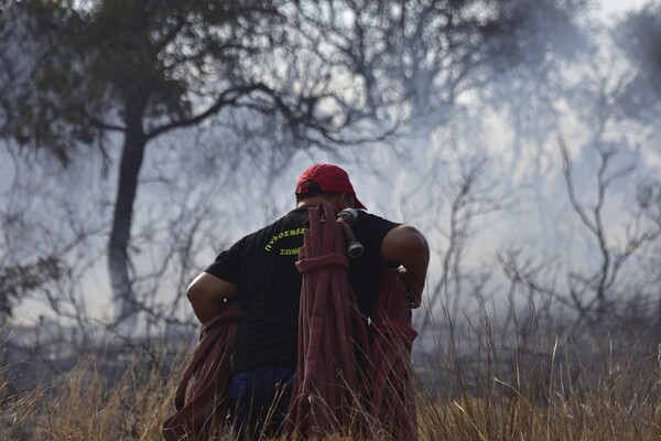 Σε συναγερμό οι αρχές για πυρκαγιές λόγω καύσωνα - Ποιες περιοχές απειλούνται
