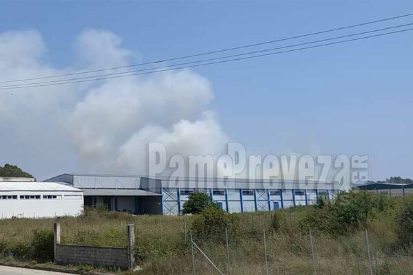 Πρέβεζα: Φωτιά στη βιομηχανική περιοχή - Ισχυρές δυνάμεις της πυροσβεστικής στο σημείο