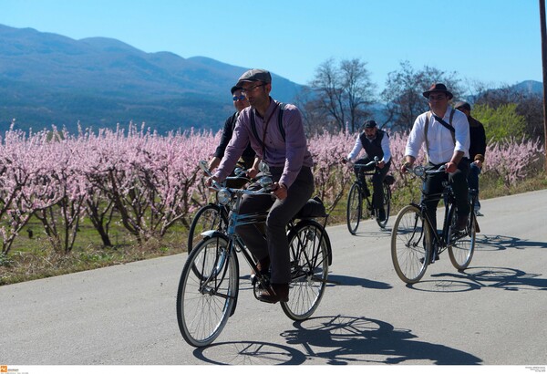 Το ελληνικό Hanami: Oι μοναδικές ανθισμένες ροδακινιές της Βέροιας