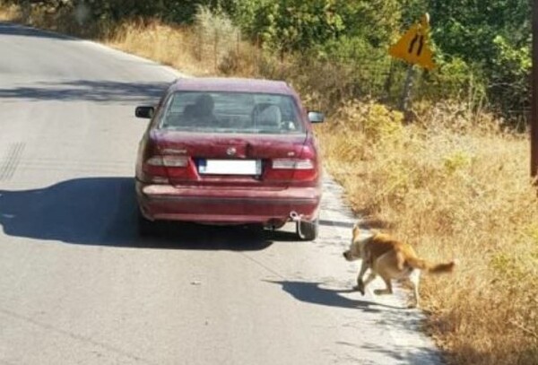 Συνελήφθη ο άντρας που έδεσε σκύλο και τον έσερνε με το αυτοκίνητό του στην Κρήτη
