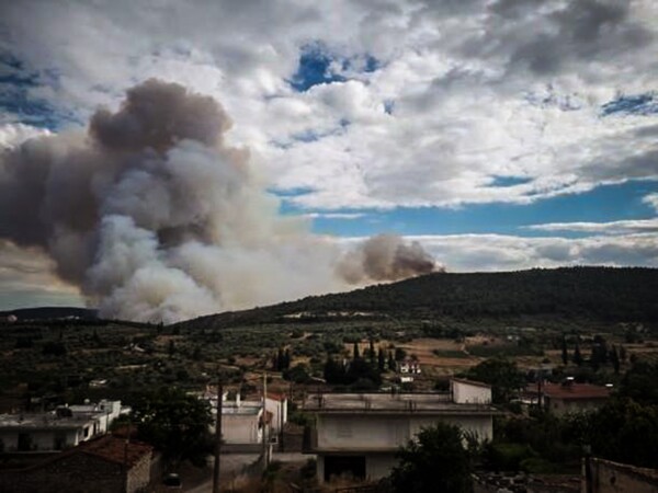 Τανάγρα: Καλύτερη η εικόνα της φωτιάς - Επιχειρούν ξανά τα εναέρια μέσα