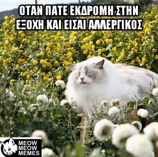 Οι Μεγάλες Αλήθειες της Δευτέρας 25/03/2019