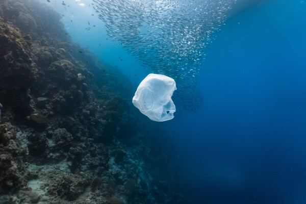 WWF: Σοκαριστικά στοιχεία για τα πλαστικά στη Μεσόγειο – 570.000 τόνοι καταλήγουν στη θάλασσα