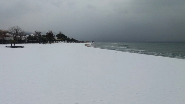 Το χιόνι έφτασε στις παραλίες - Εντυπωσιακές φωτογραφίες από το λευκό τοπίο
