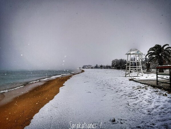 Το χιόνι έφτασε στις παραλίες - Εντυπωσιακές φωτογραφίες από το λευκό τοπίο